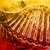Abstract background digital collage concept illustration genes genetics